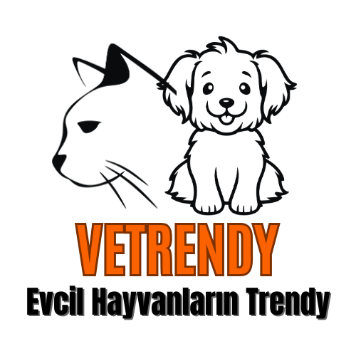 VETRENDY